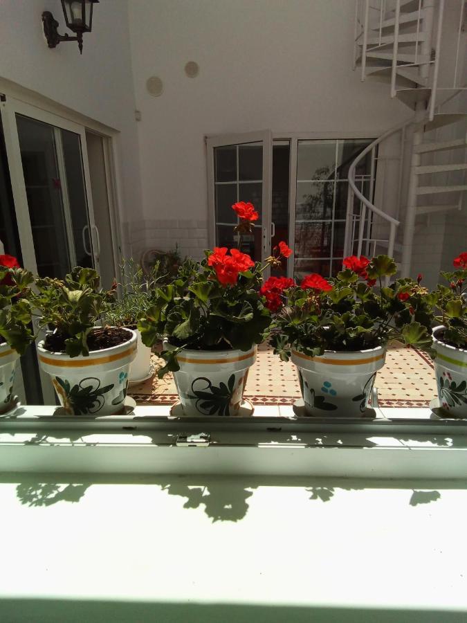 Casa Alba 1 Apartment Puerto del Rosario  Ngoại thất bức ảnh