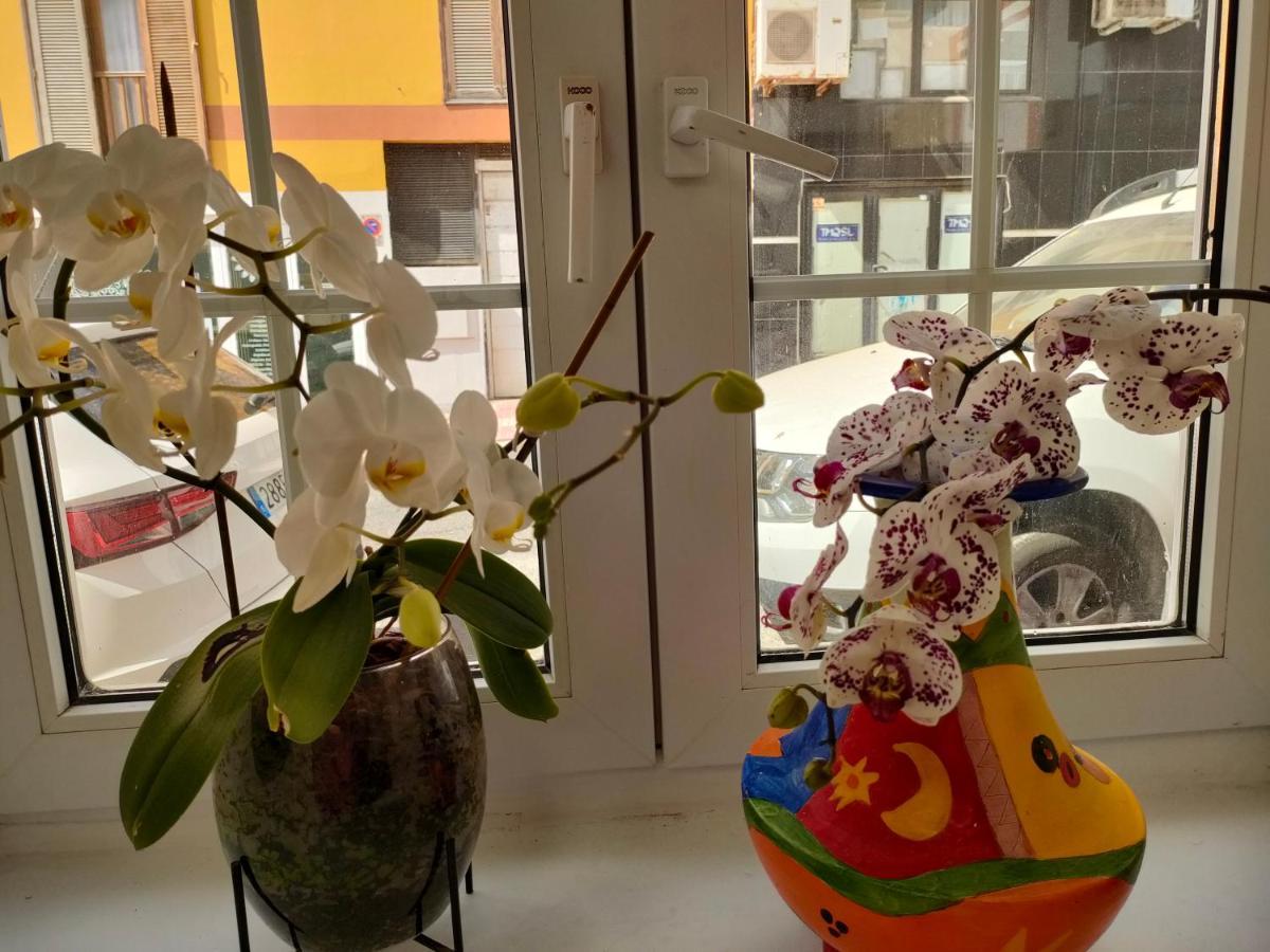 Casa Alba 1 Apartment Puerto del Rosario  Ngoại thất bức ảnh