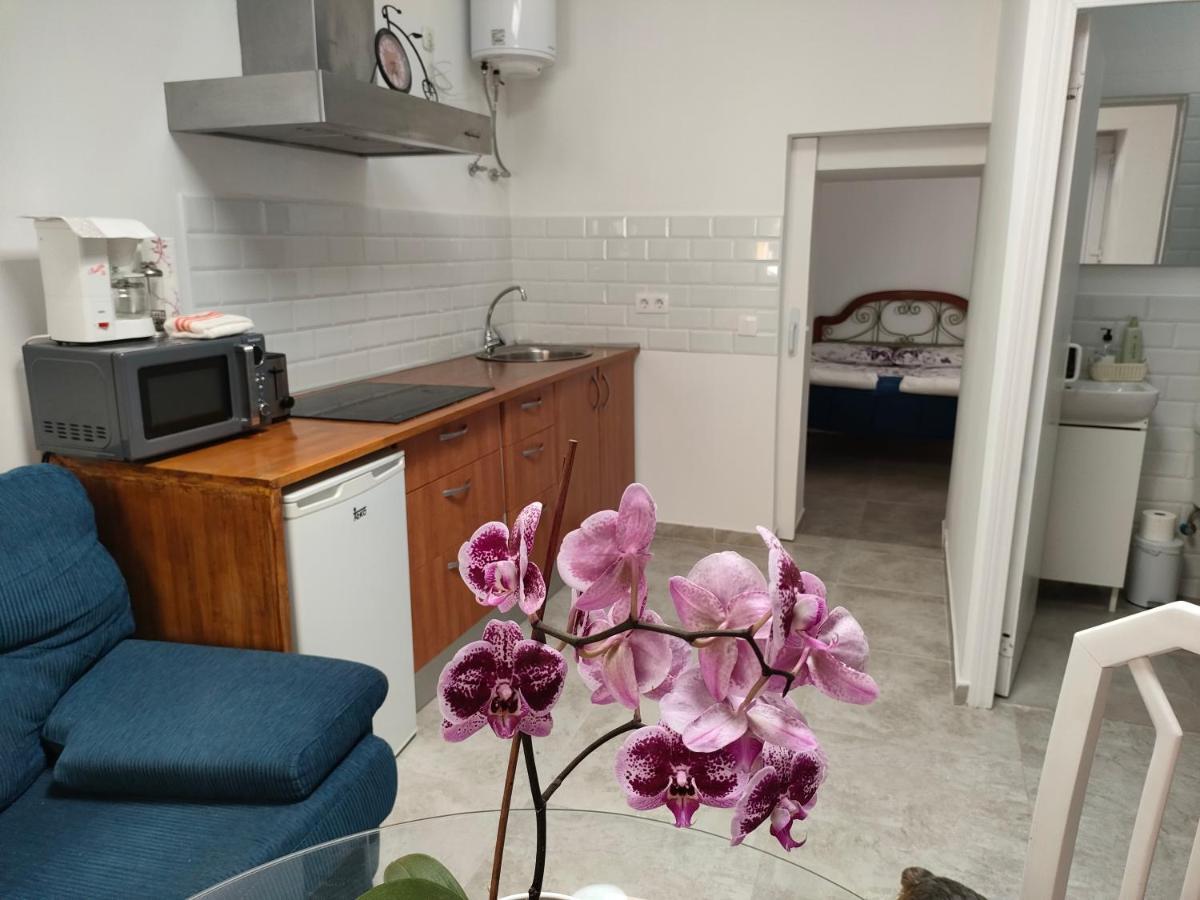 Casa Alba 1 Apartment Puerto del Rosario  Ngoại thất bức ảnh